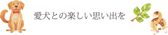 愛犬との楽しい思い出を