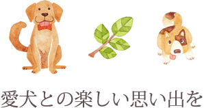 愛犬との楽しい思い出を