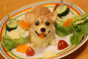 河口湖わんちゃん同伴の宿モンターニャ ロビンくん 河口湖わんちゃん同伴の宿モンターニャ ロビンくん