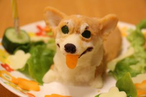 河口湖わんちゃん同伴の宿モンターニャ ロビンくん 河口湖わんちゃん同伴の宿モンターニャ ロビンくん